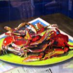 Platter of Crabs by Dennis Millar in Gouache 